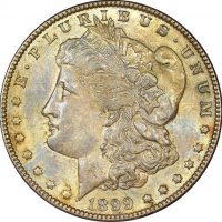 Ηνωμένες Πολιτείες Αμερικής USA Morgan Dollar 1899