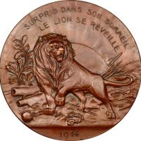 Belgium World War I Copper Commemorative Medal 1914 Lion Yzer