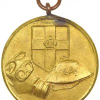 Σπάνιο Μετάλλιο Ελληνική Αεράμυνα Αλεξάνδρειας 1939 – 1945