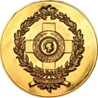 Επίχρυσο Αναμνηστικό Μετάλλιο Δήμος Αθηναίων Με Κουτί